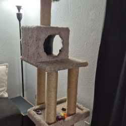 Cat Tree Tower Multi Level
