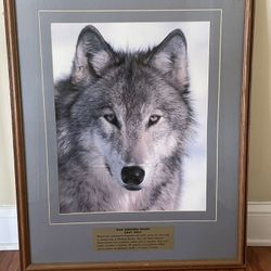 Wild Kingdom Series Gray Wolf Print