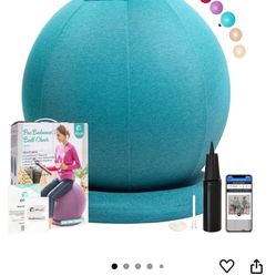 Large Play Ball Or Ergonomic Office Chair With BaseBought On Amazon 