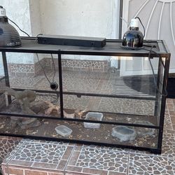 Reptile Aquarium