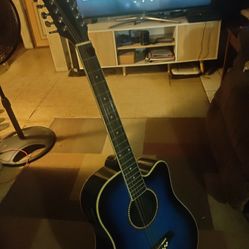 12 String Acoustic Electric 