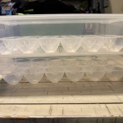 Egg Storage