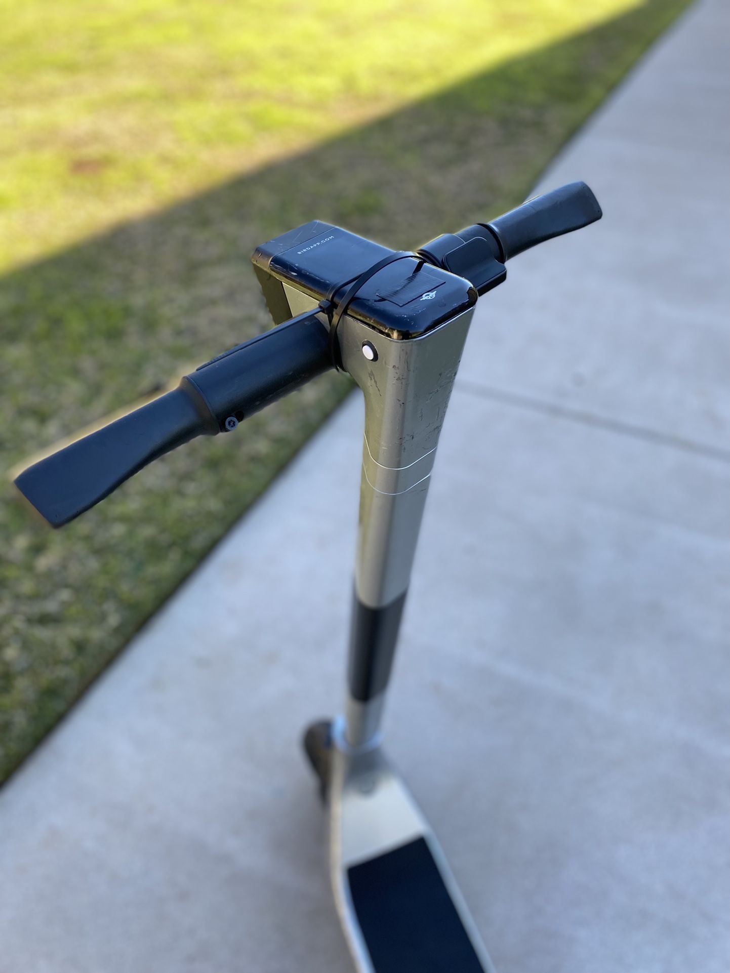 2021 Bird Scooter
