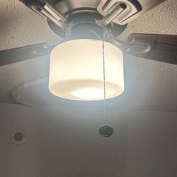 Hampton Ceiling Fan