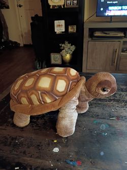 SeaWorld turtle