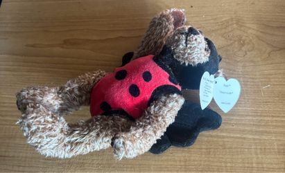 Bugsy the Bear from the Ty Attic Treasures collection, wearing a ladybug costume.