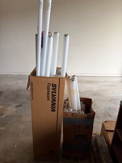 Fluorescent Lights