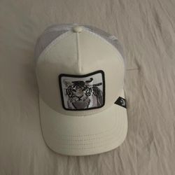animal hat