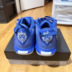 Nike LeBron  Witness 7 TB  Game Royal
