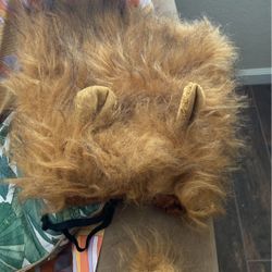 Dog Costume - Lion