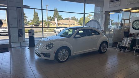 Beetle