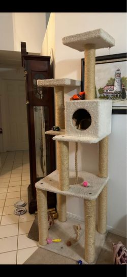 Cat tower and Hard-Sided Pet Travel Carrier Crate