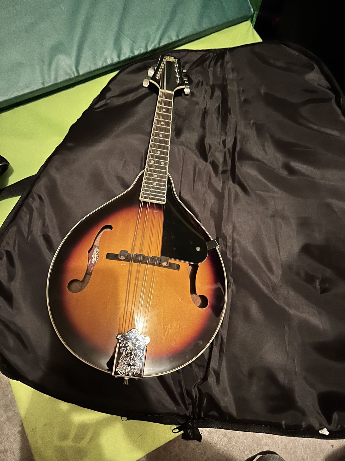 Mandolin With Case