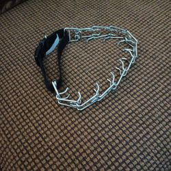 Dog Training Collar