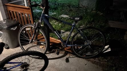 Nishiki montour racing bike