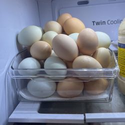 Farm Fresh Eggs