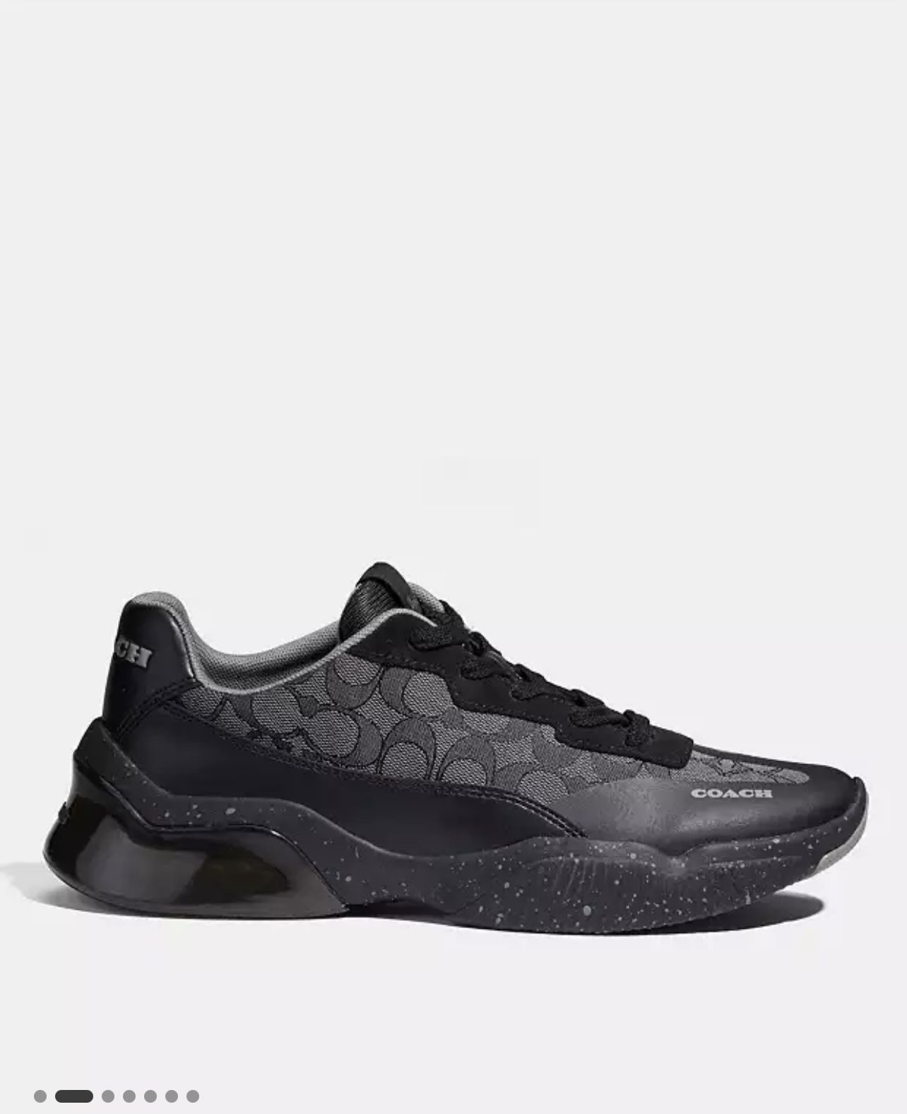 Coach Shoes Men