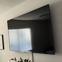 65 Inch Amazon Fire TV