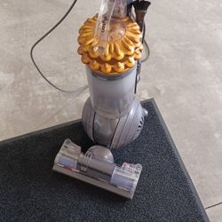 Dyson Big Ball Vacuum. Pet-free Home