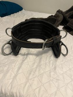 Buckingham Climbing Belt