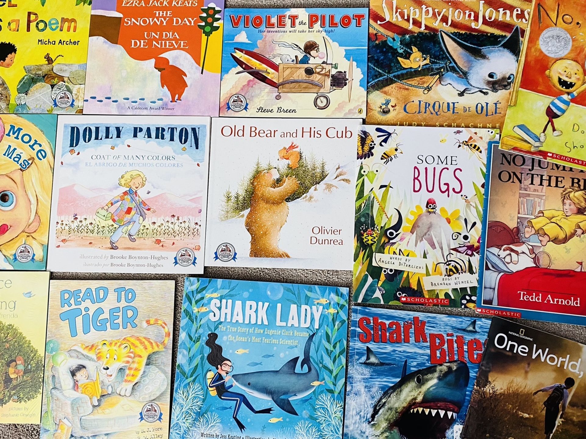 Kids Book Lot - Dolly Patton’s Imagination Library & Scholastic Books