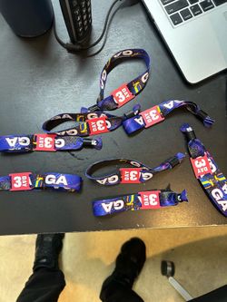 3 day summersmash wristband