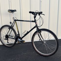 Retro Vintage Schwinn MTB City True Temper Bike