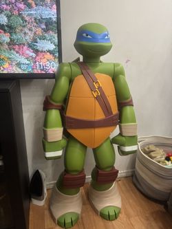 Ninja Turtle
