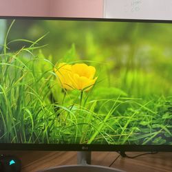 LG 27" 4K UHD UltraFine™ IPS Monitor with VESA DisplayHDR™ 400