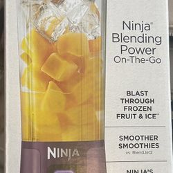 Ninja Cordless Blender