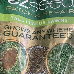 Tall Fescue Lawn Seed