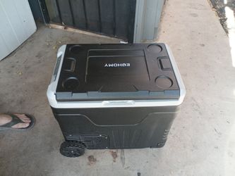 Electric cooler