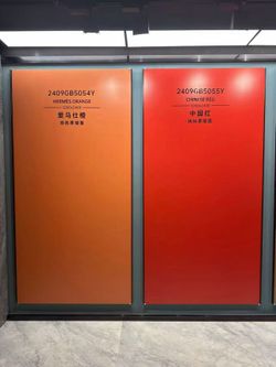 Pure orange red matt slab Hermes