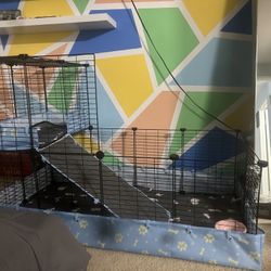 Guinea Pig Cage 