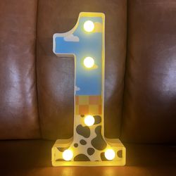 My 1st round up light