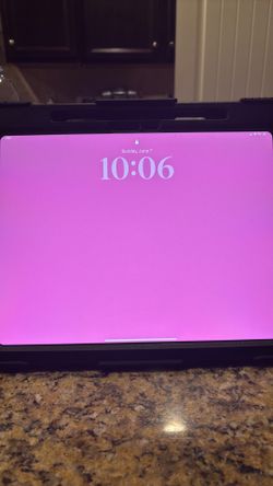 iPad Pro M4 12.9 Inch 256 GB w/case and screen protector