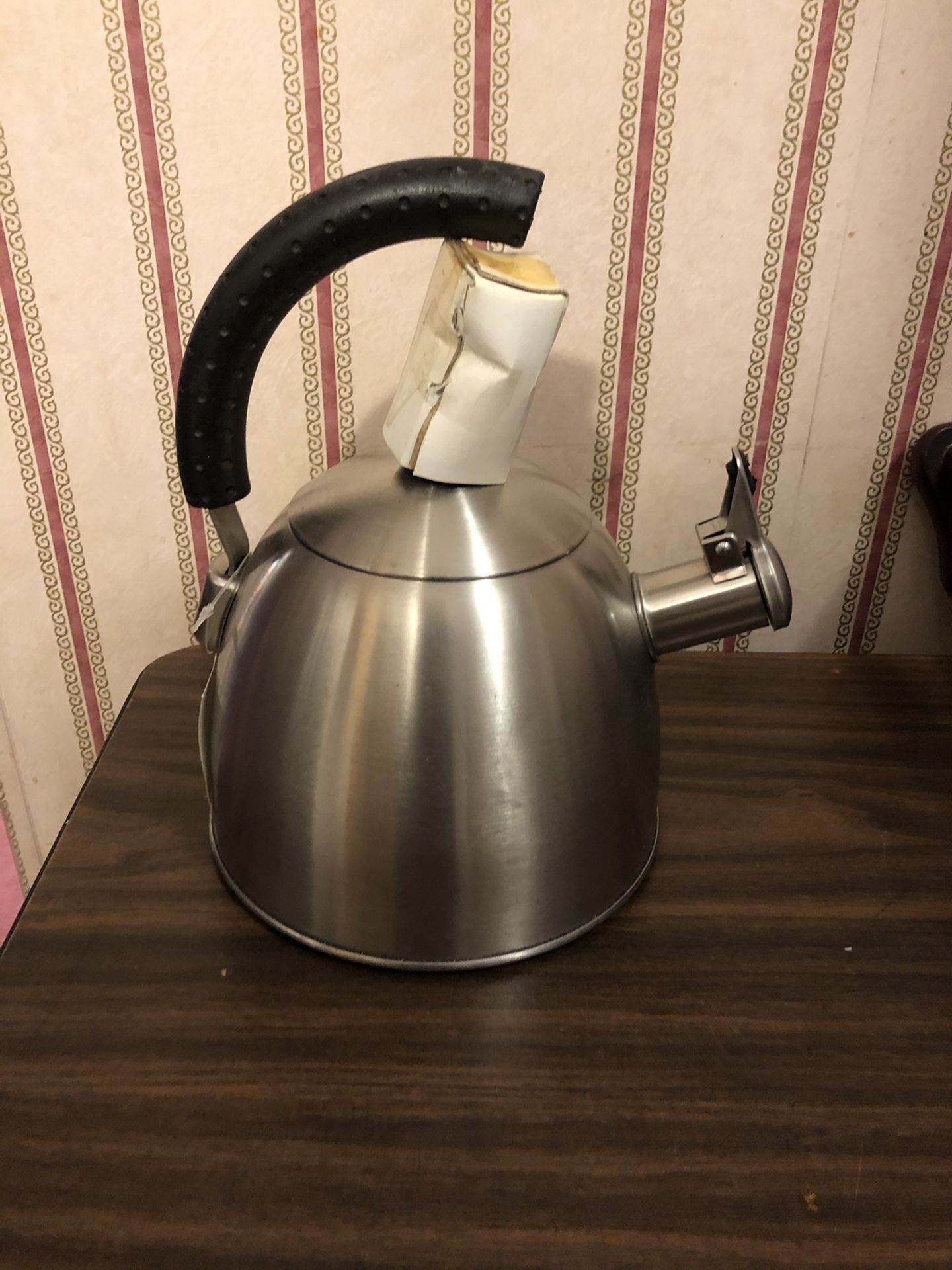 Brushed nickel tea kettle