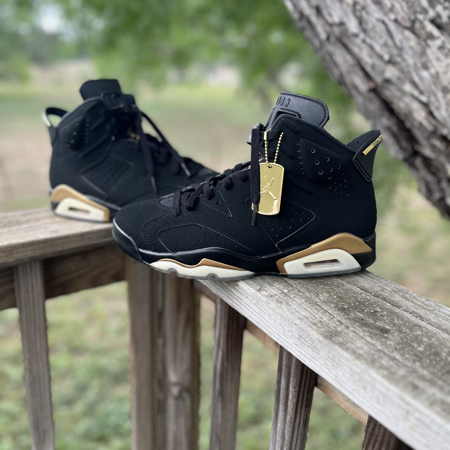 Jordan 6 Dnp 