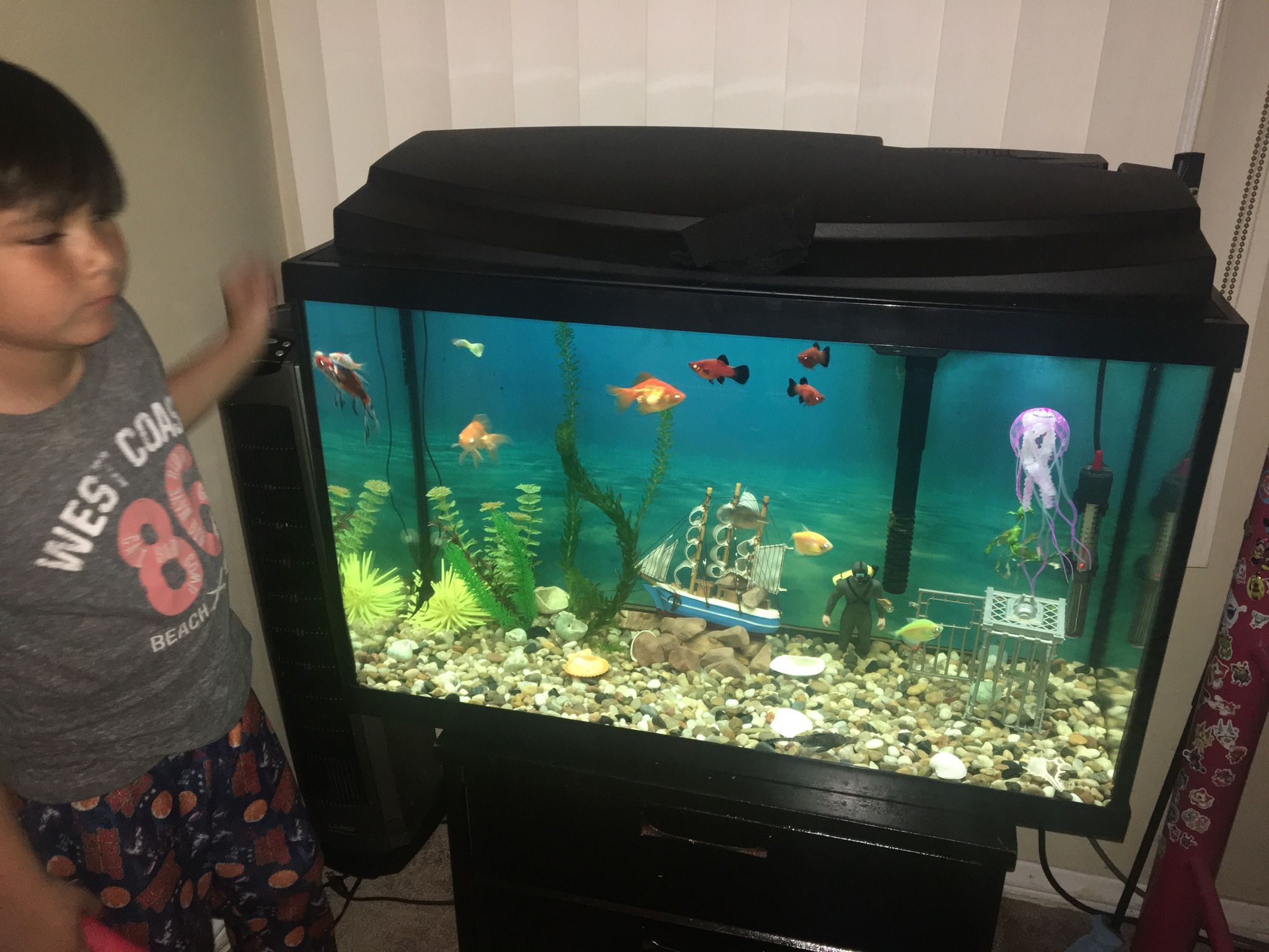 Aquarium