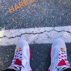 Jordan 6 Hares 