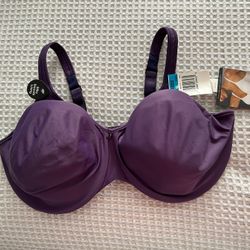 BALI Purple Bra