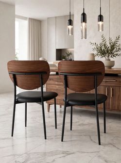 Mid-Century Dining Chairs Set of 2