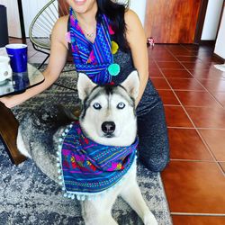 Matching Dog Bandanas Set