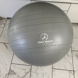pro body pilates ball