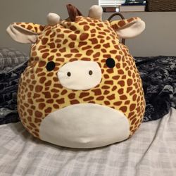 Stuffed  Animals 