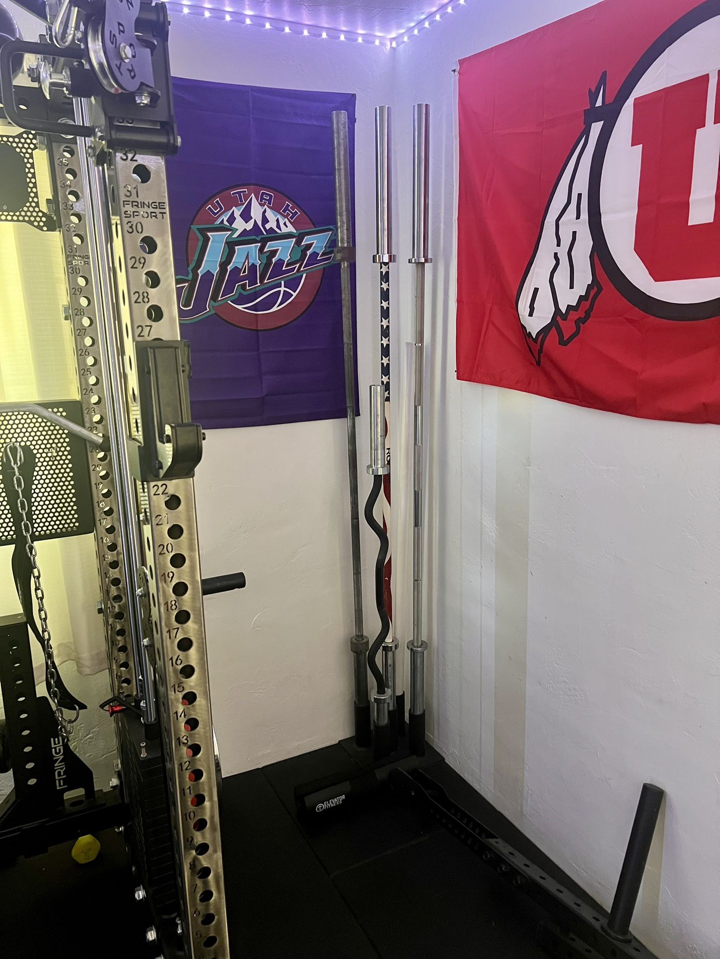 Rep And Rogue Olympic Barbells