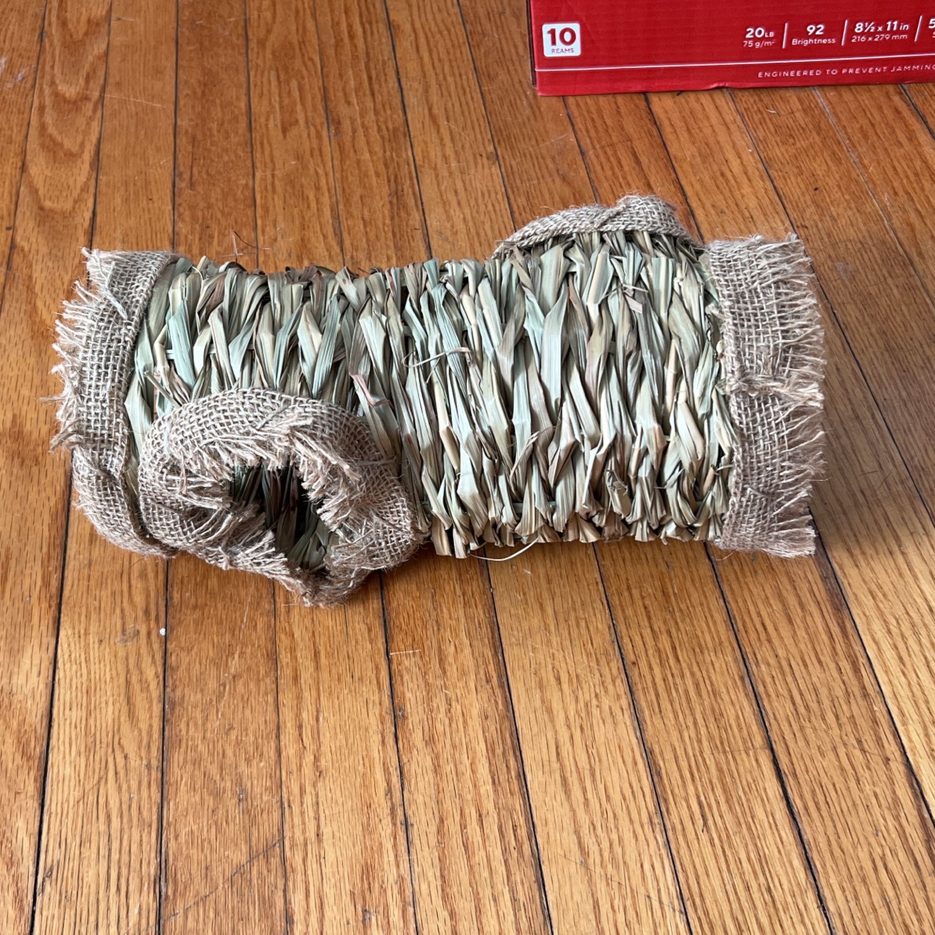 Pet Toy 