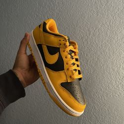 Dunks Size 10