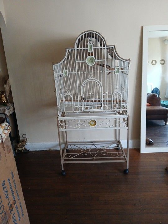 Bird cage  