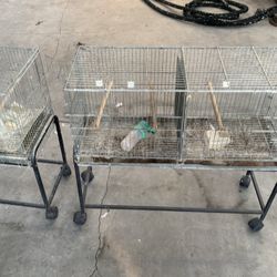 Birds Cages 40 Each O Take Both For $70 